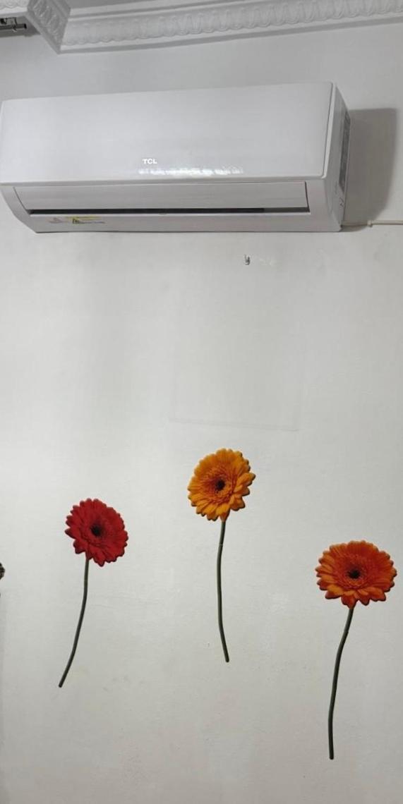 Appartement Casa Juana à Vejer de la Frontera Extérieur photo